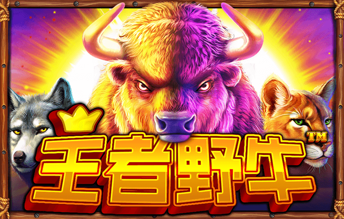CC623:COM-WWW:CC623:COM截图4